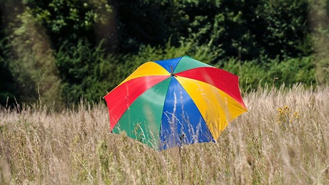 Draussen In Der Freien Natur Geht Es Versaut Zur Sache Draussen In Der Freien Natur Geht Es Versaut Zur Sache